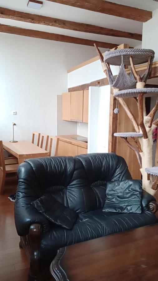 Bydleni V Centru Ov Blizko Stodolni, Bez Vytahu Apartment ออสตราวา ภายนอก รูปภาพ