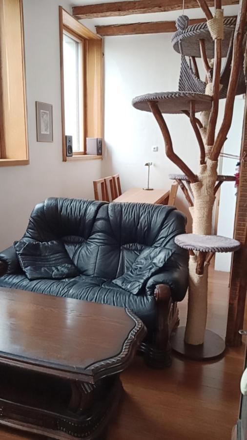 Bydleni V Centru Ov Blizko Stodolni, Bez Vytahu Apartment ออสตราวา ภายนอก รูปภาพ