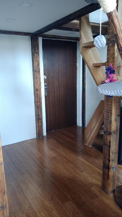 Bydleni V Centru Ov Blizko Stodolni, Bez Vytahu Apartment ออสตราวา ภายนอก รูปภาพ